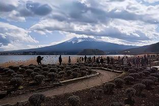 雷竞技进不去了